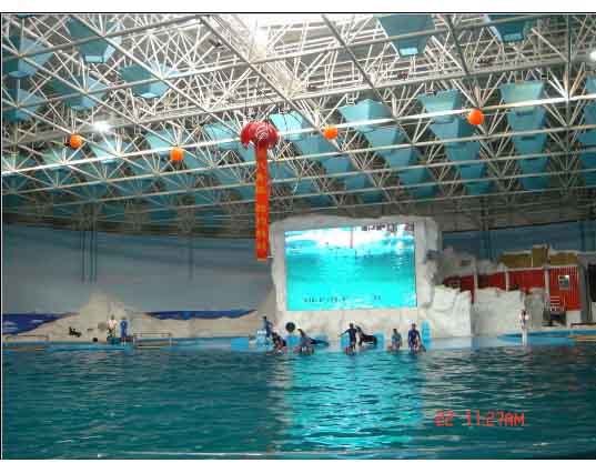 富德游泳馆螺栓球网架